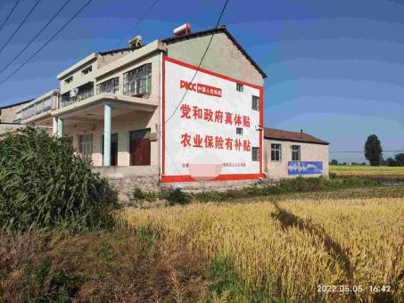 建宁墙体广告多少钱一平