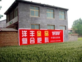 建宁如何让墙体广告展现最大化效果