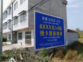 建宁墙体广告质量分析