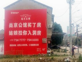 建宁墙体广告在乡镇、农村市场的媒体优势