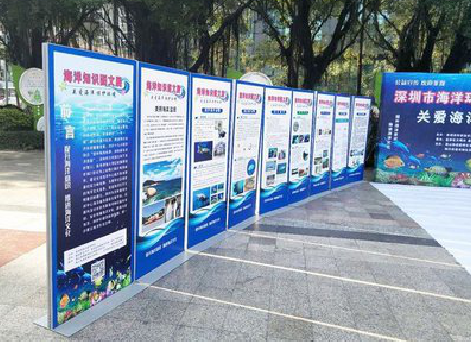 建宁KT板的种类和知识。